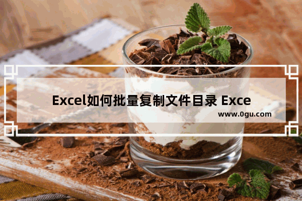 Excel如何批量复制文件目录 Excel批量复制文件目录的方法