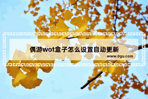 偶游wot盒子怎么设置自动更新