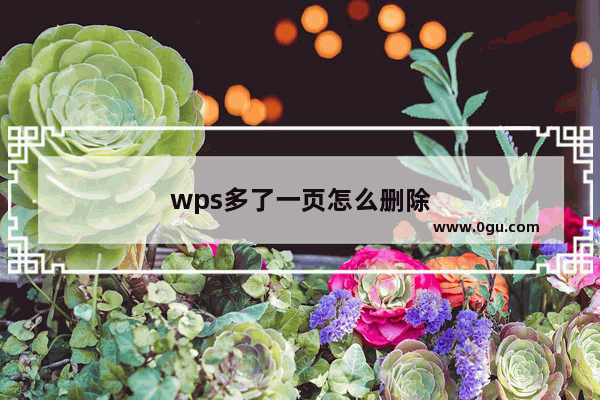 wps多了一页怎么删除