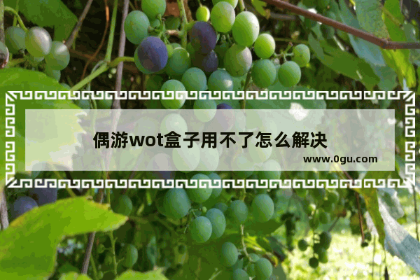 偶游wot盒子用不了怎么解决