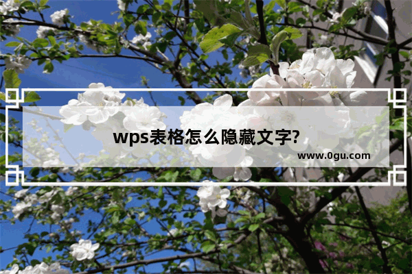 wps表格怎么隐藏文字?