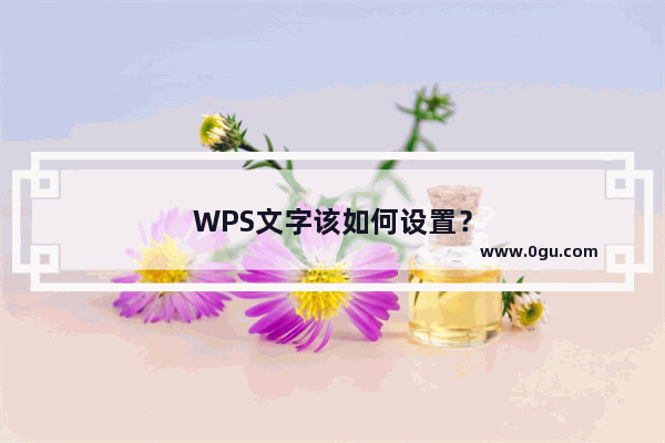 WPS文字该如何设置？