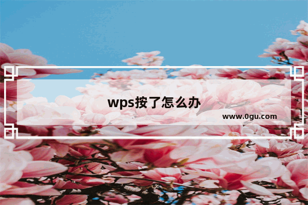 wps按了怎么办