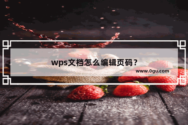 wps文档怎么编辑页码？