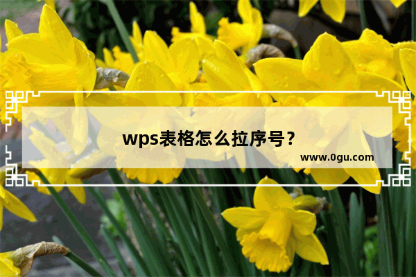 wps表格怎么拉序号？