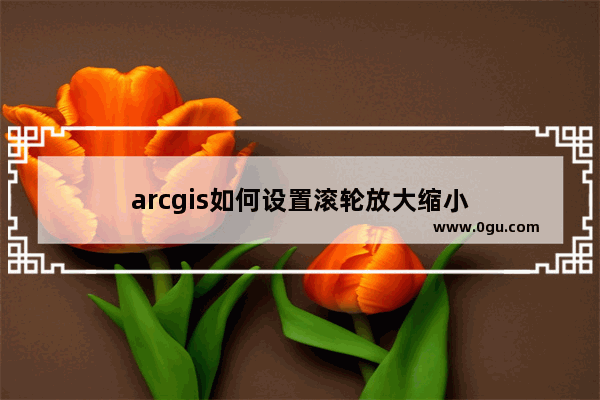 arcgis如何设置滚轮放大缩小