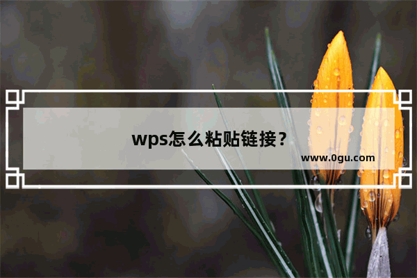 wps怎么粘贴链接？