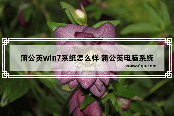 蒲公英win7系统怎么样 蒲公英电脑系统