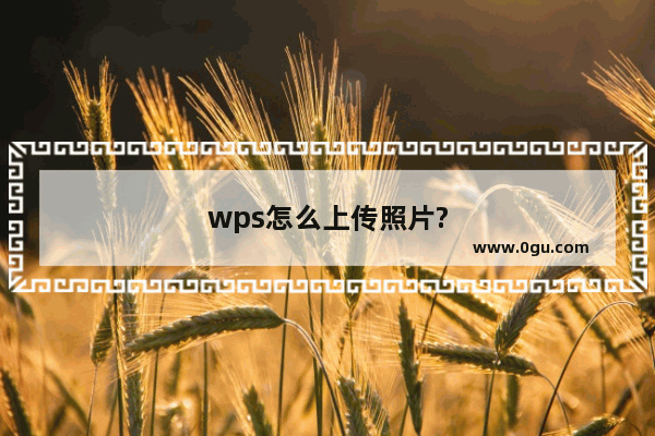 wps怎么上传照片?