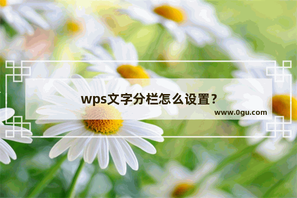 wps文字分栏怎么设置？