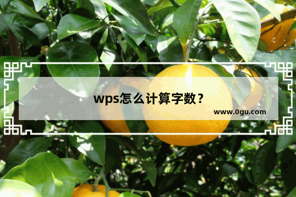 wps怎么计算字数？