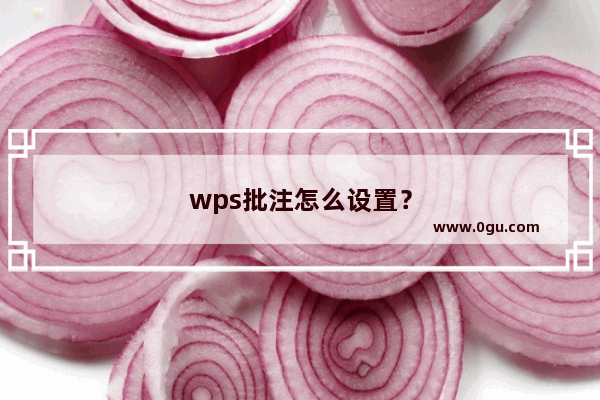 wps批注怎么设置？