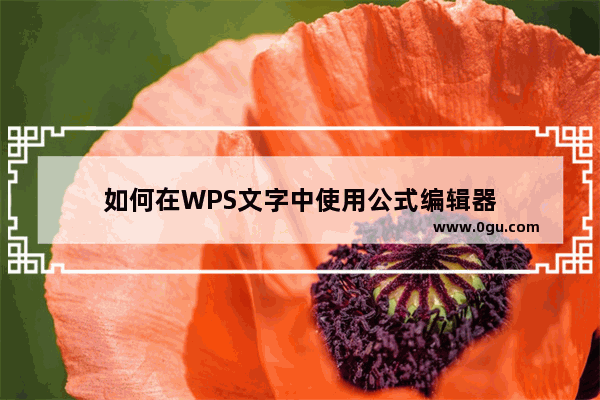 如何在WPS文字中使用公式编辑器