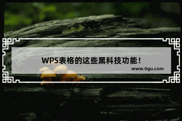 WPS表格的这些黑科技功能！