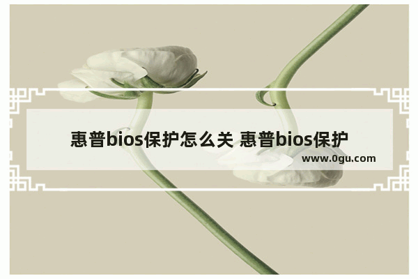 惠普bios保护怎么关 惠普bios保护怎么关掉