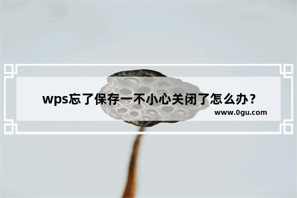 wps忘了保存一不小心关闭了怎么办？