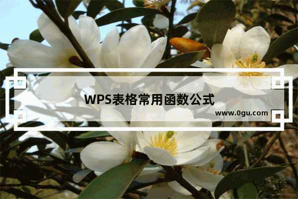 WPS表格常用函数公式