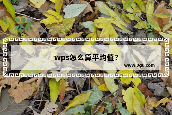 wps怎么算平均值？