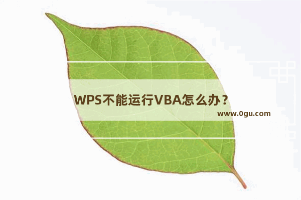 WPS不能运行VBA怎么办？