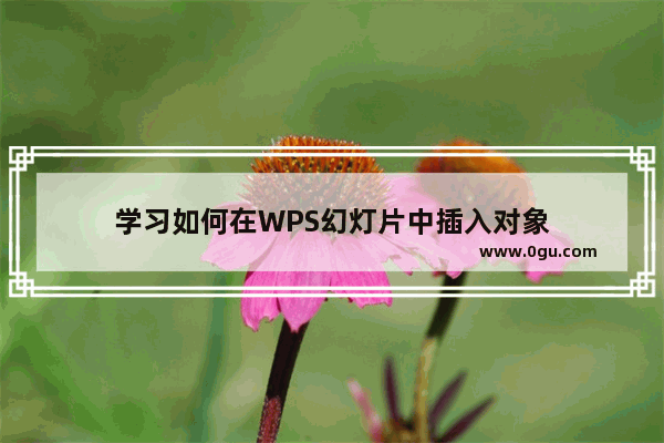 学习如何在WPS幻灯片中插入对象