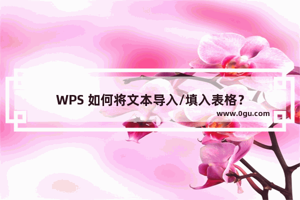 WPS 如何将文本导入/填入表格？