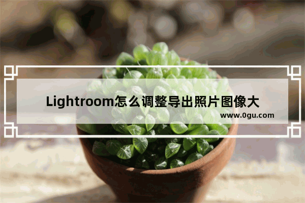 Lightroom怎么调整导出照片图像大小的分辨率