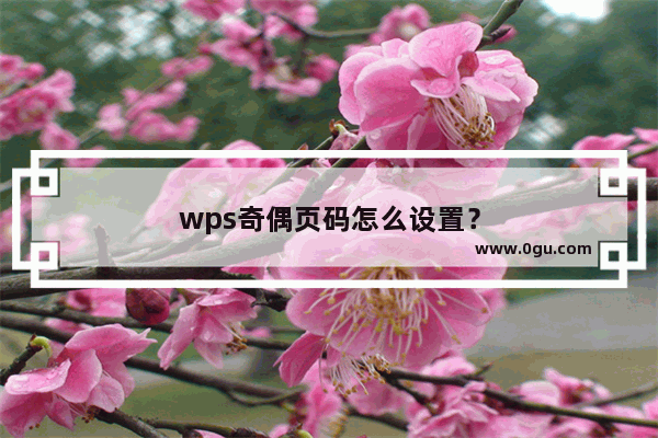 wps奇偶页码怎么设置？