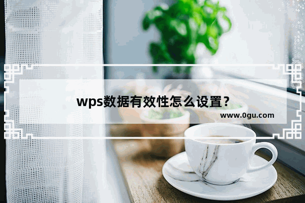 wps数据有效性怎么设置？