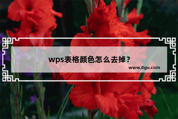 wps表格颜色怎么去掉？