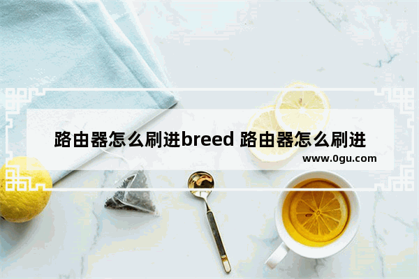 路由器怎么刷进breed 路由器怎么刷进去breed