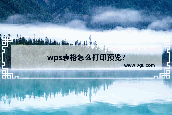 wps表格怎么打印预览?