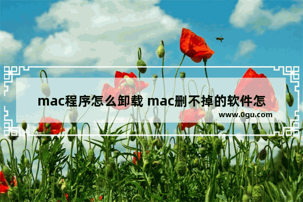 mac程序怎么卸载 mac删不掉的软件怎么办