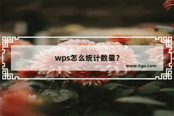 wps怎么统计数量？