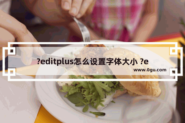 ?editplus怎么设置字体大小 ?editplus放大字体的方法