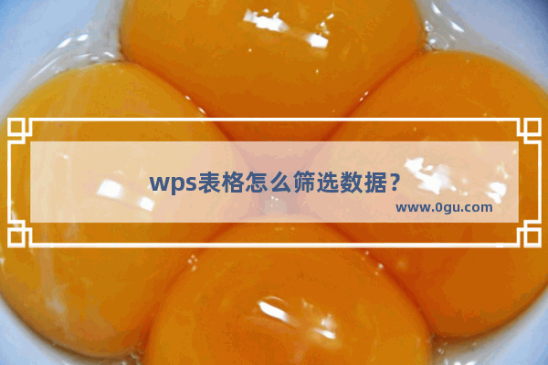 wps表格怎么筛选数据？