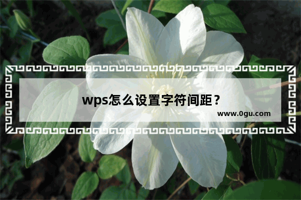 wps怎么设置字符间距？