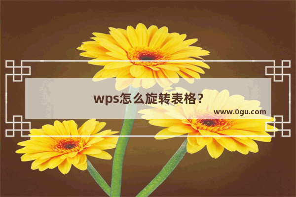 wps怎么旋转表格？