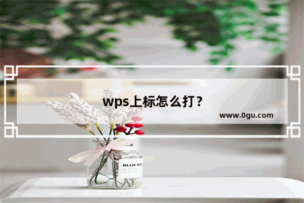 wps上标怎么打？