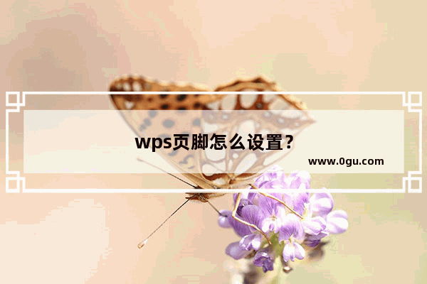 wps页脚怎么设置？