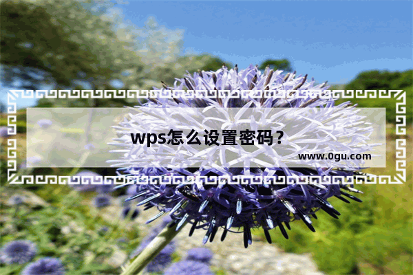 wps怎么设置密码？