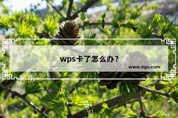 wps卡了怎么办？