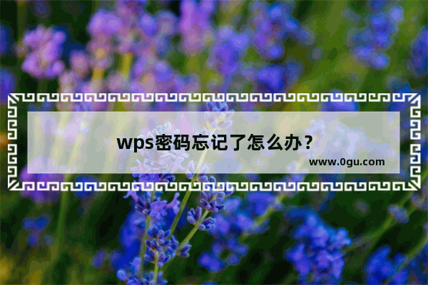 wps密码忘记了怎么办？