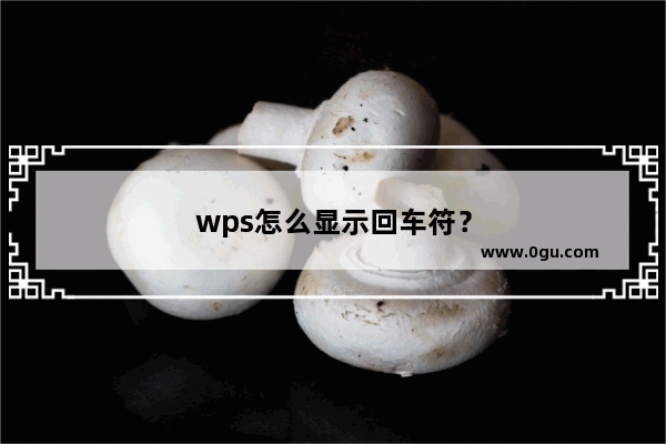 wps怎么显示回车符？