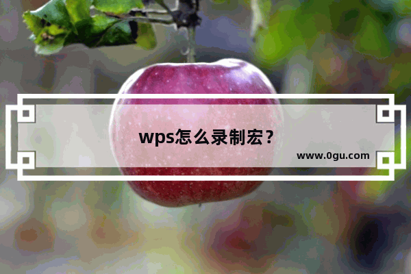 wps怎么录制宏？