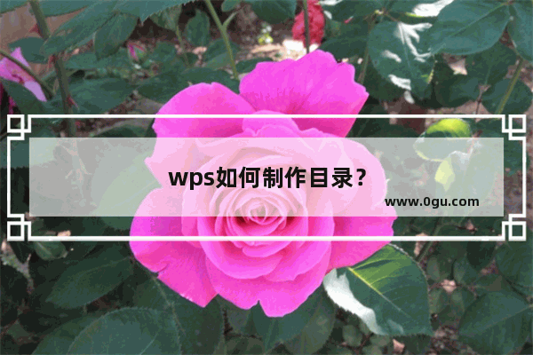 wps如何制作目录？