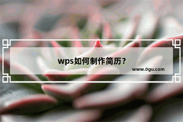 wps如何制作简历？