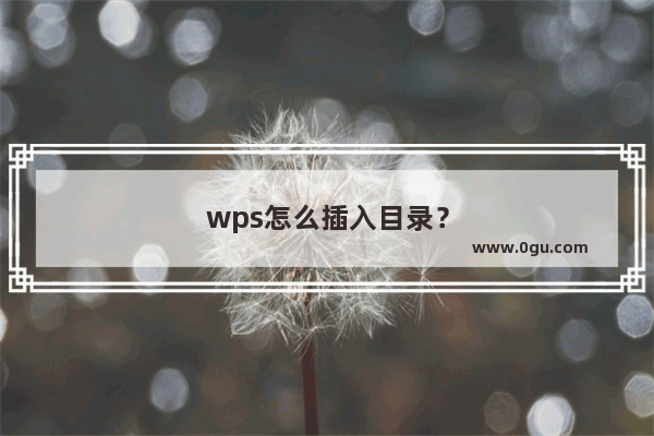 wps怎么插入目录？