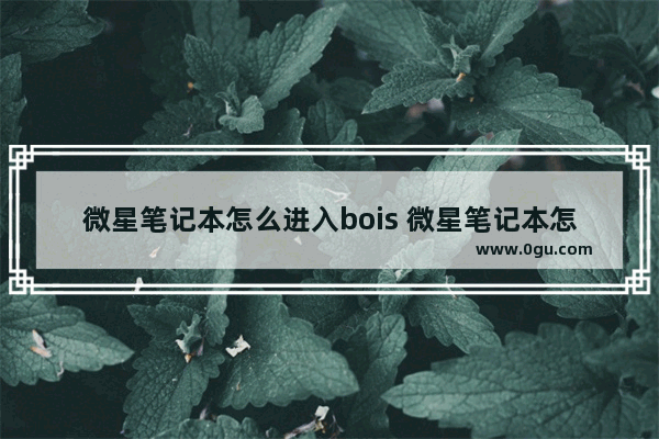 微星笔记本怎么进入bois 微星笔记本怎么进入bios界面