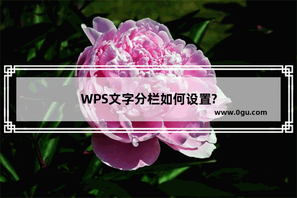 WPS文字分栏如何设置?