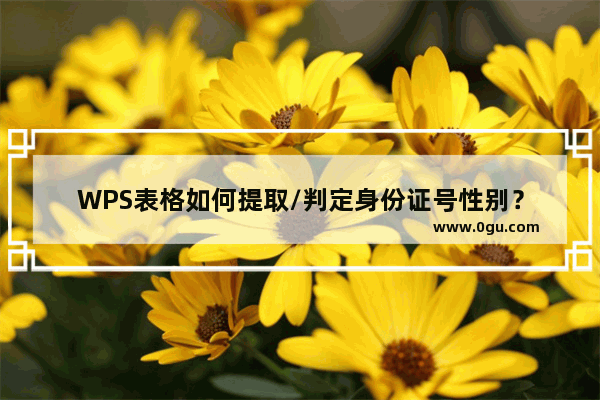 WPS表格如何提取/判定身份证号性别？